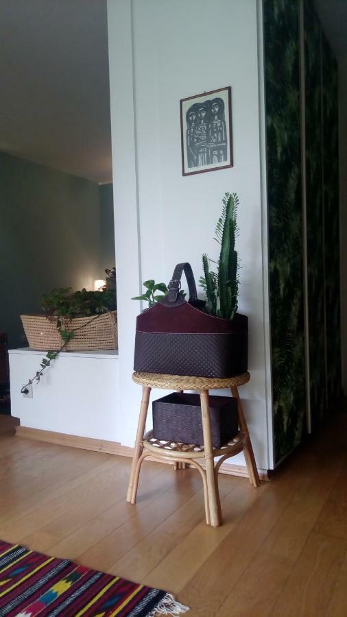 Garden Studio 55 S.M. 雅典 外观 照片